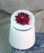 Lotus_flower_thumb