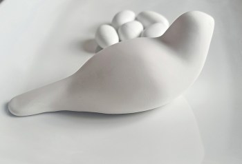 dove_01