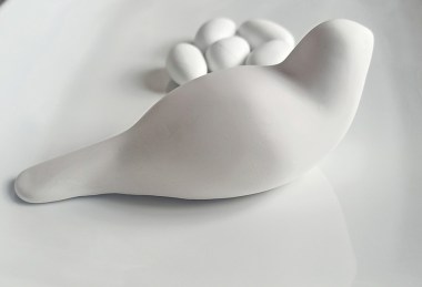 dove_01