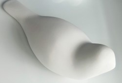 dove_02