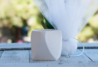 Μπομπονιέρα με Κασπώ, κουφέτα και παχύφυτο σε σχήμα Nice
