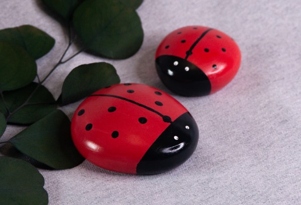 ladybug_01