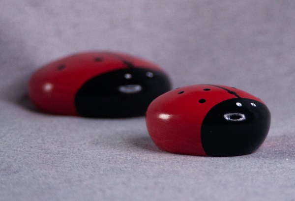 ladybug_02