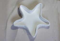 starfish1_01