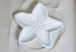 starfish2_01