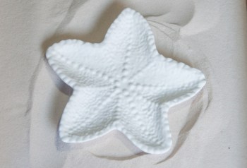 starfish2_01